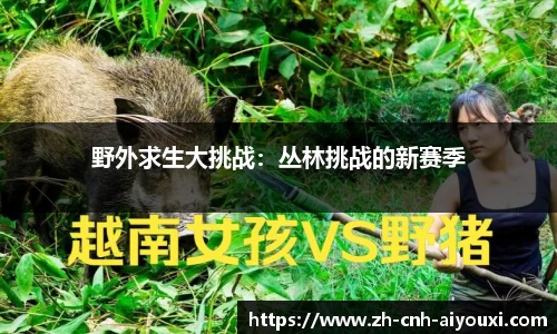 爱游戏ayx官方网站